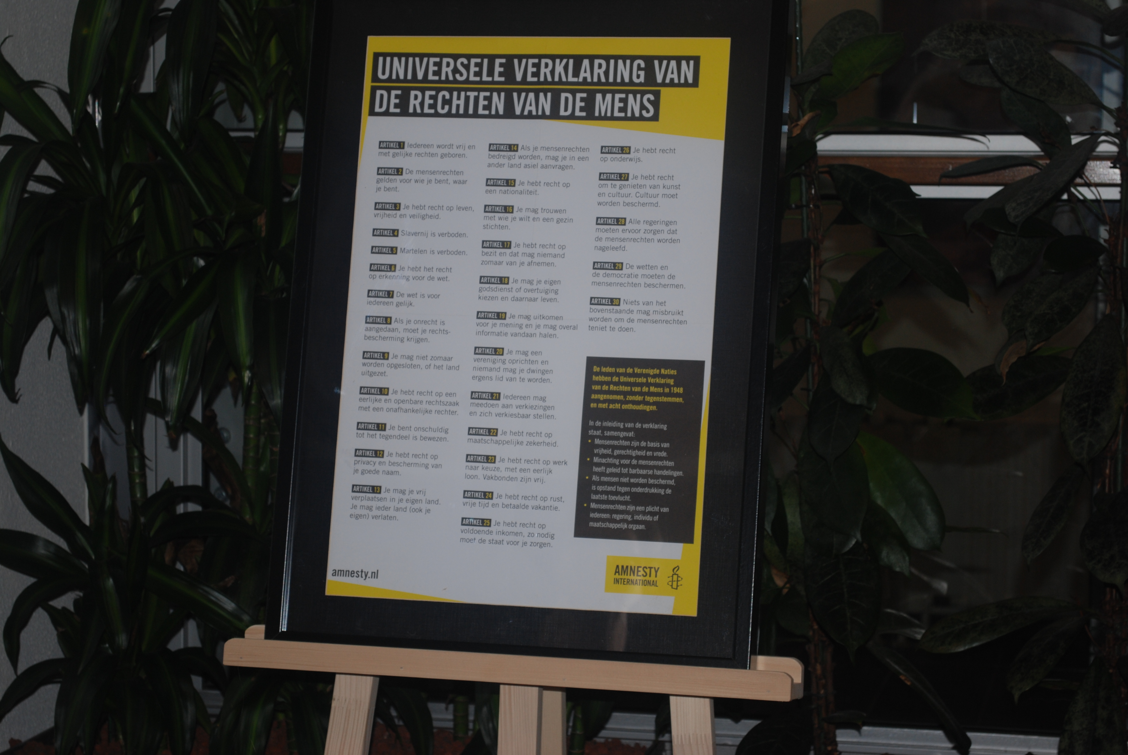 Mensenrechten krijgen vaste plek in het raadhuis DSC 0006